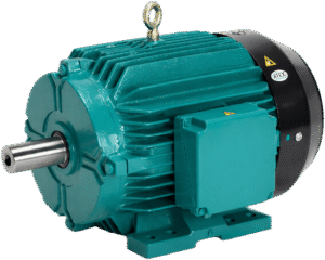 Standard Squirrel Cage LT Motors